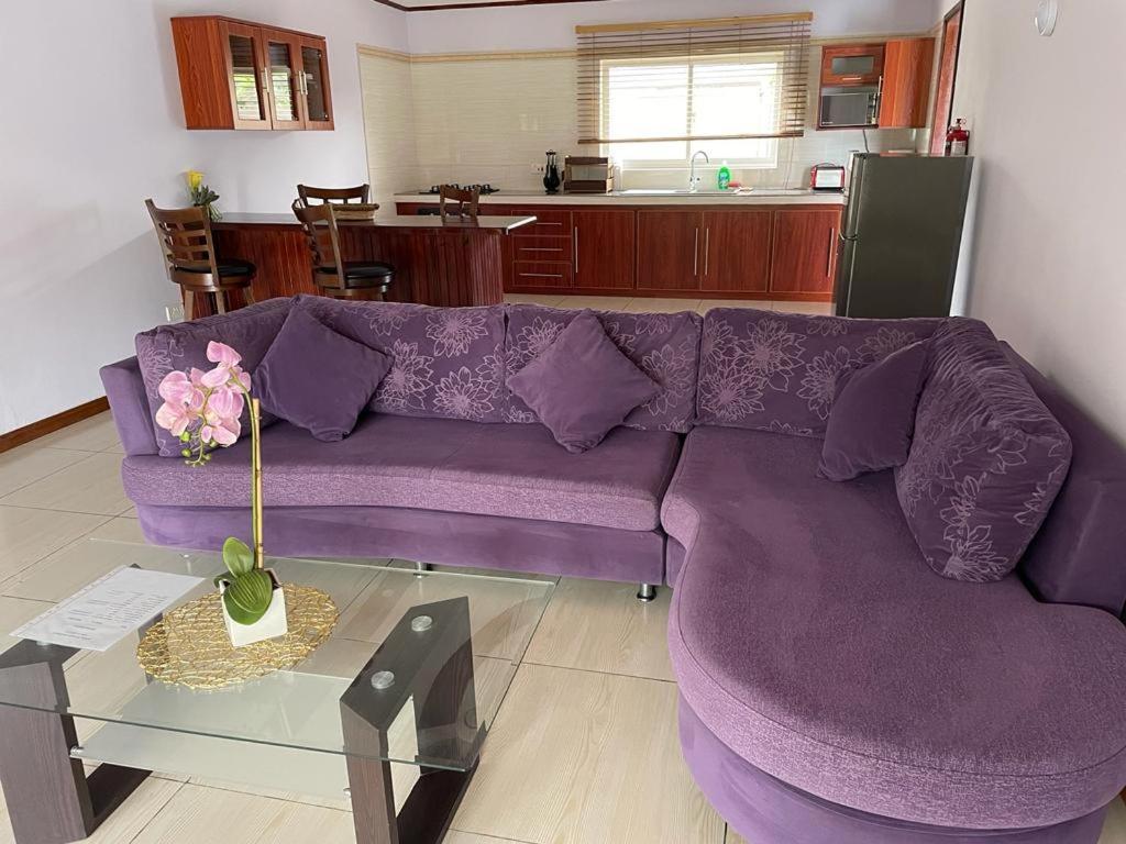 Mokara Holiday Apartment 앙스 로얄 외부 사진